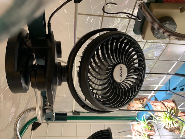 �`�����W�A,�e�B�����W�A,�G�A�[�v�����c,Tillandsia,�`�����h�V�A