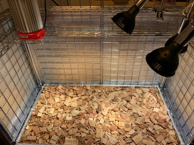 �`�����W�A,�e�B�����W�A,�G�A�[�v�����c,Tillandsia,�`�����h�V�A