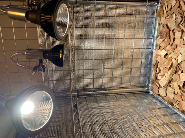 �`�����W�A,�e�B�����W�A,�G�A�[�v�����c,Tillandsia,�`�����h�V�A