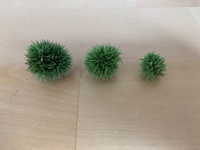 �`�����W�A,�e�B�����W�A,�G�A�[�v�����c,Tillandsia,�`�����h�V�A