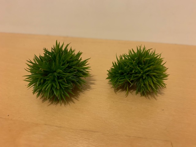 �`�����W�A,�e�B�����W�A,�G�A�[�v�����c,Tillandsia,�`�����h�V�A