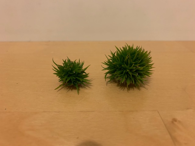 �`�����W�A,�e�B�����W�A,�G�A�[�v�����c,Tillandsia,�`�����h�V�A