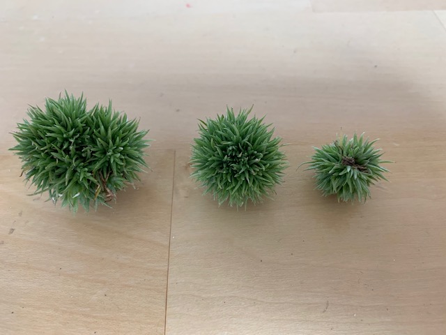 �`�����W�A,�e�B�����W�A,�G�A�[�v�����c,Tillandsia,�`�����h�V�A