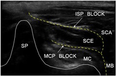 �����_�o��ۯ�,�_�o��ۯ�,����޲��,����,�摜