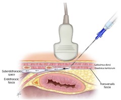 �����_�o��ۯ�,�_�o��ۯ�,����޲��,����,�摜