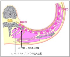�����_�o��ۯ�,�_�o��ۯ�,����޲��,����,�摜